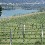 Cornolade *