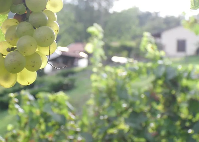 Gospodarstwo agroturystyczne Cornolade *